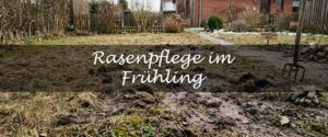 Rasenpflege im Frühling Dünger Vertikutieren