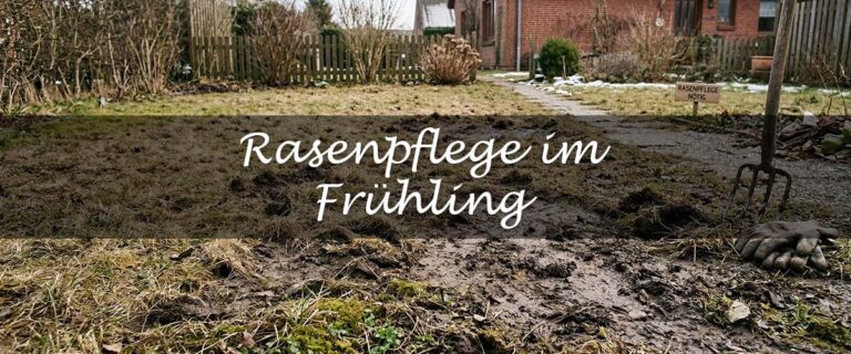 Rasenpflege im Frühling Dünger Vertikutieren